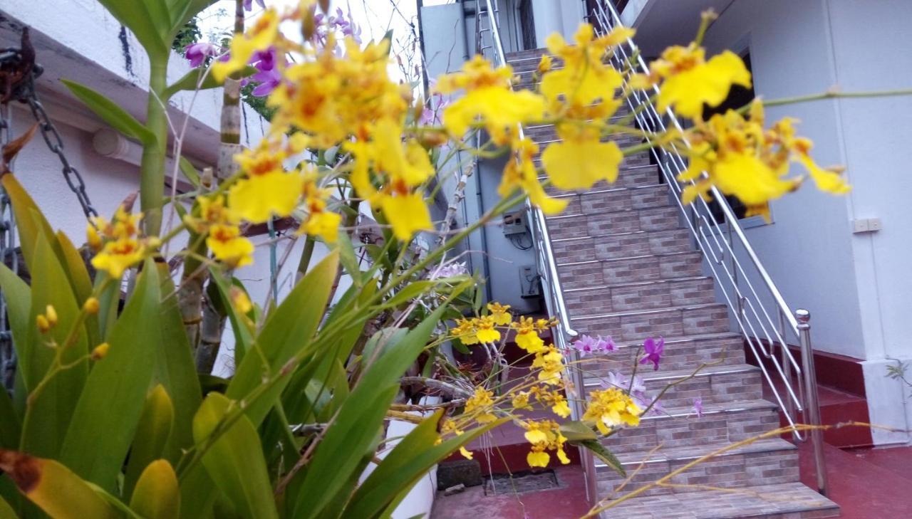 Cacao Hotel Katunayaka Exterior foto